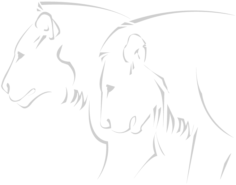 nit-logo-and-graphics-04