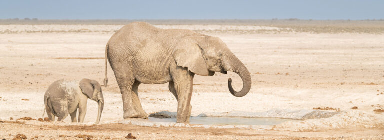 12-Days---Namibia-Fly-In-Safari
