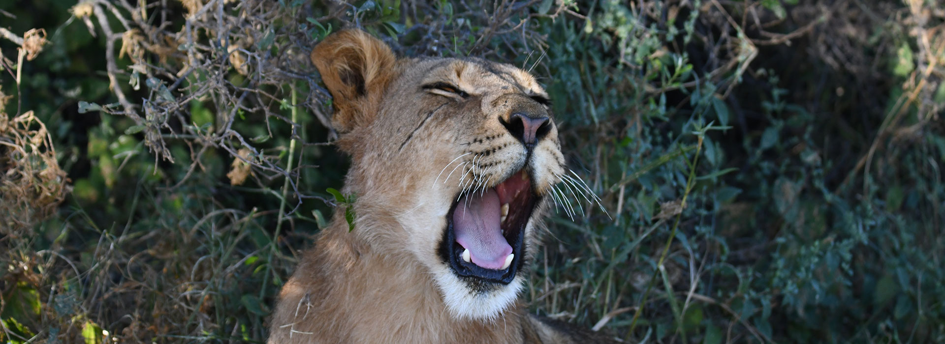 13-Days---Botswana-Fly-In-Safari