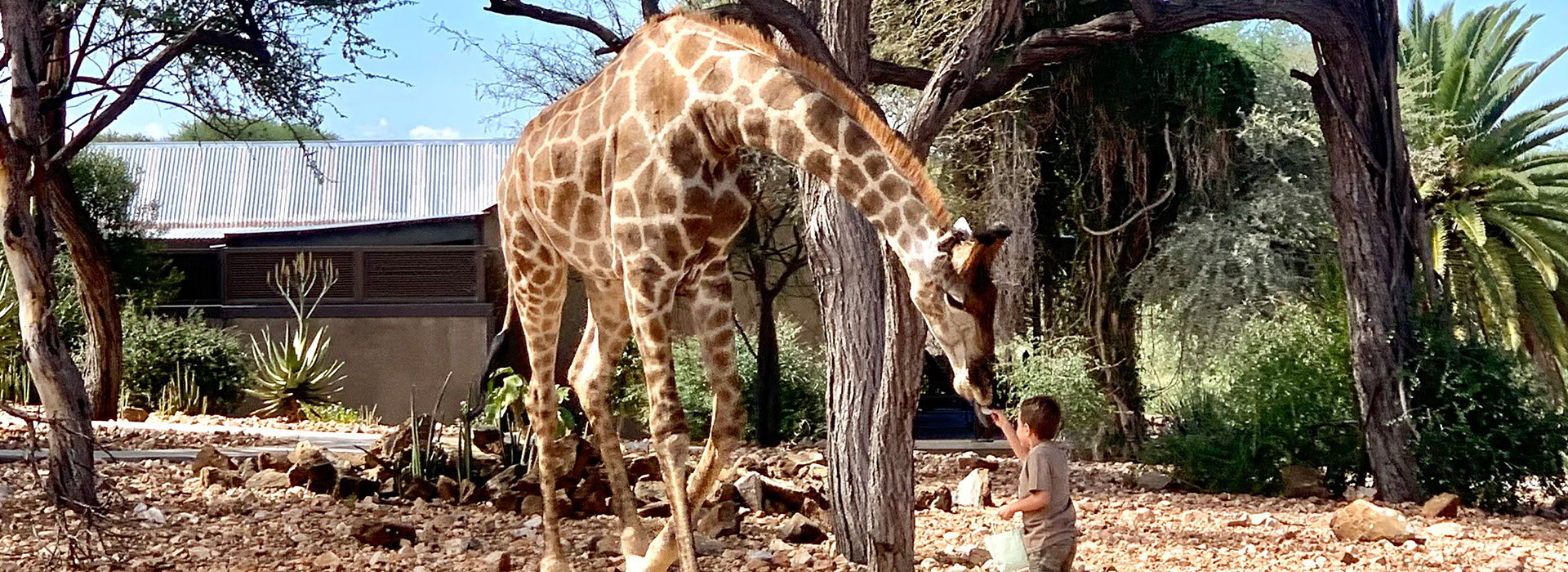 13-Days---Namibia-Family-Adventure