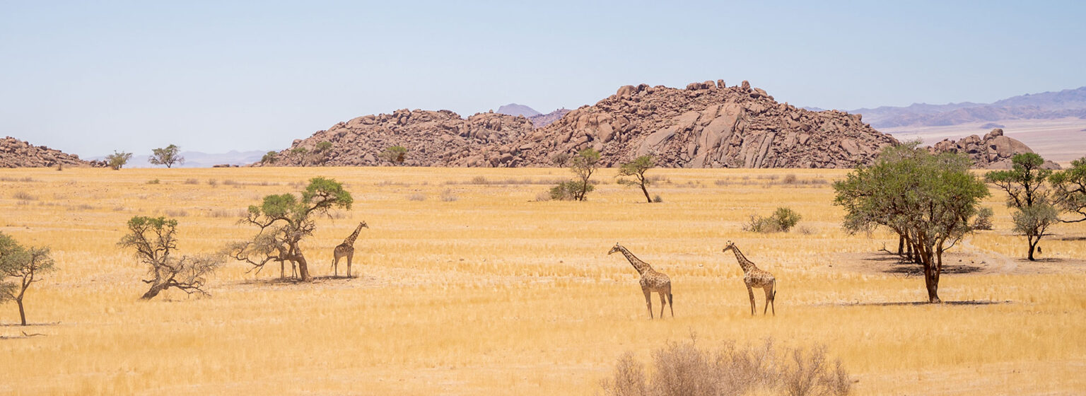 14-Days---Namibias-South