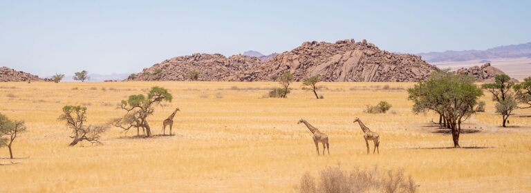 14-Days---Namibias-South