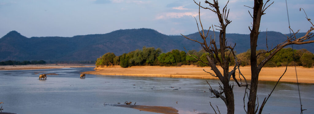 14-Days---Zambia-Fly-In-Safari