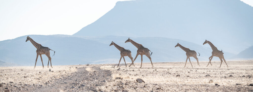 15-Days---Namibias-North-West