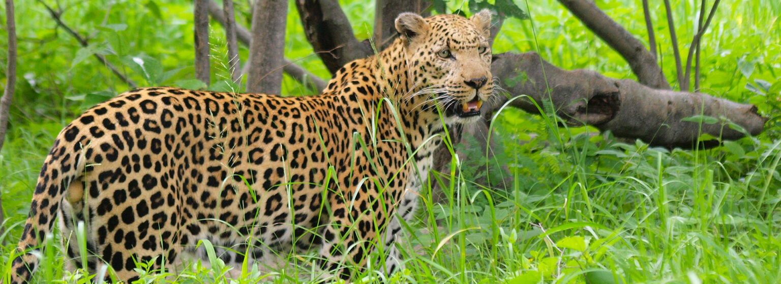 18-Days---Namibia-&-Botswana