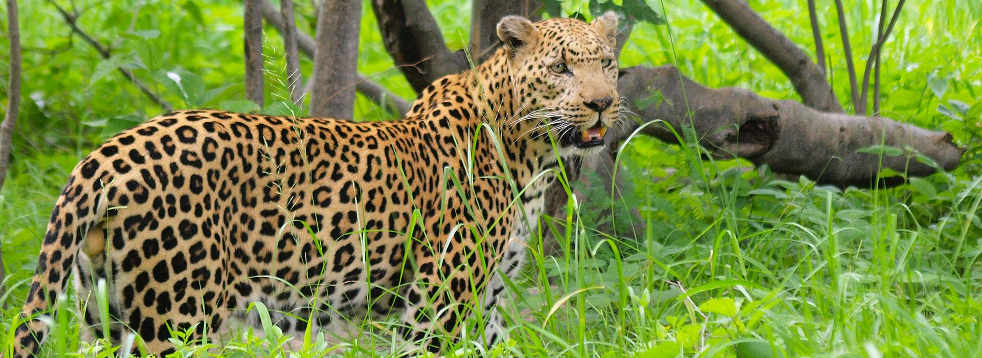 18-Days---Namibia-&-Botswana