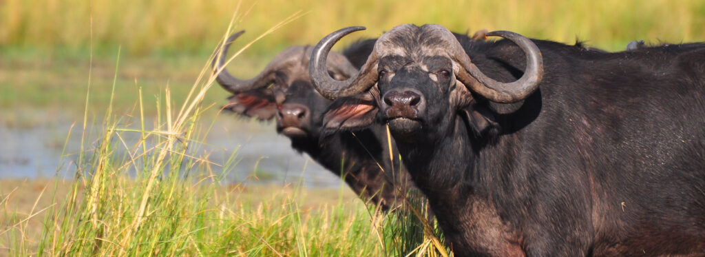 18-Days---Windhoek-to-Victoria-Falls