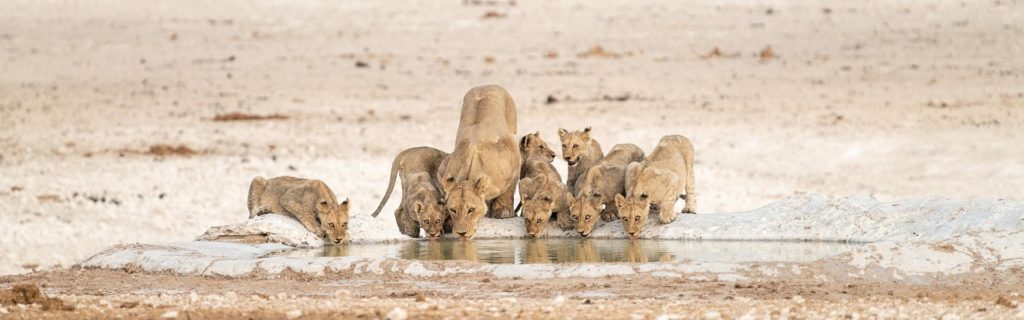 Namibia-Family-Tour-Self-Drive