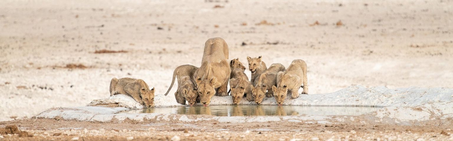 Namibia-Family-Tour-Self-Drive