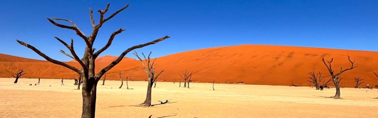 Namibia-Highlights-14-Days-Self-Drive