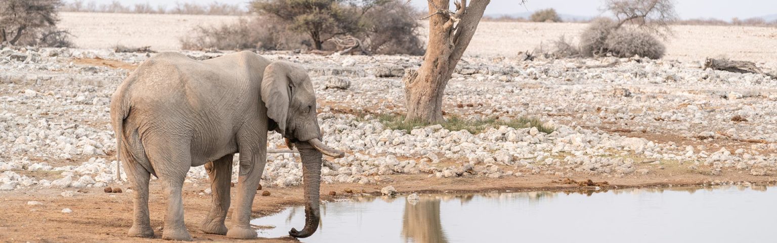 Namibia-Highlights-19-Days-Self-Drive