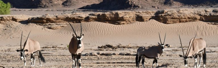 Namibia-North-West-Guided