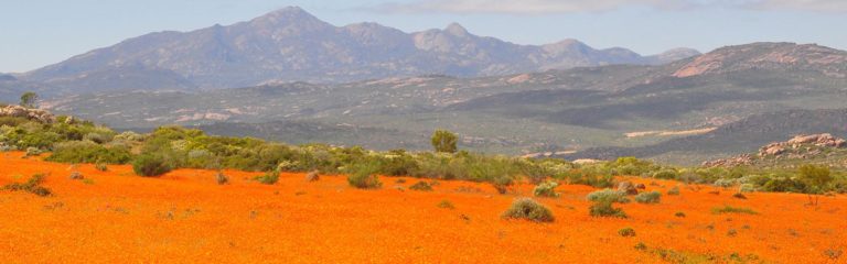 Windhoek-Cape-Town-Self-Drive