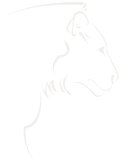 namibia-individual-travel-lion-sillhouette-03