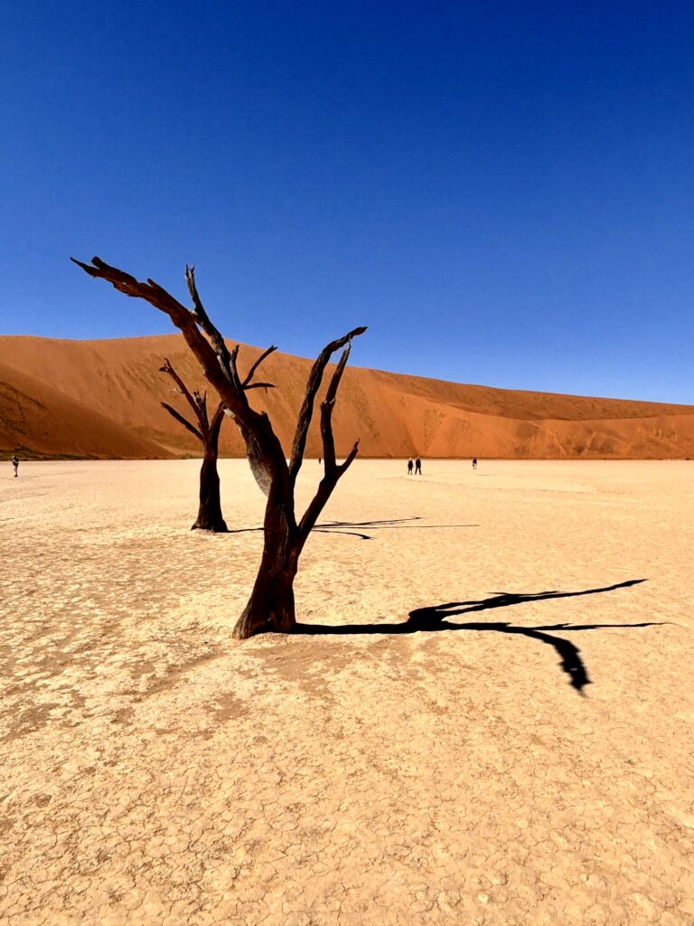 Dead-Vlei